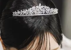 Item thumbnail for item 57d132d6-f8d0-4f1a-833d-8baf38666863