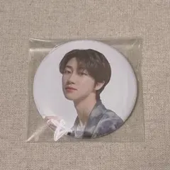 SEVENTEEN セブチ ディノ 一番くじ 缶バッジ まとめ売り SEVENTEEN ディノ DINO セブチ 一番くじ 缶バッジ トレカ フォト