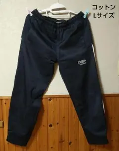 ピステ ラグビー