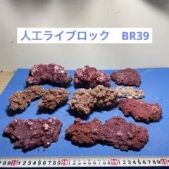 2026年最新】人工 ライブロックの人気アイテム - メルカリ
