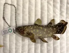 マグネット カプセルトイ