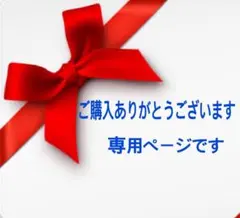 an様 リクエスト 2点 まとめ商品