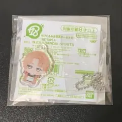 ちびぐるみお写真キーホルダー　斜木七基