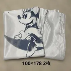 ディズニー ミッキー&ミニー カーテン 1級遮光・遮熱・防音 100×178