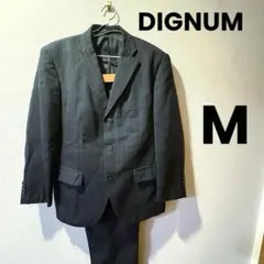 DIGNUM スーツ セットアップ AB5 Mブラック ストライプ ビジネス 黒