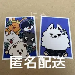 2026年最新】txt プルバトゥ ヨンモンの人気アイテム - メルカリ