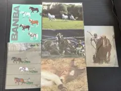 Item thumbnail for item e84150a8-a3e2-406a-802d-6fb053626148