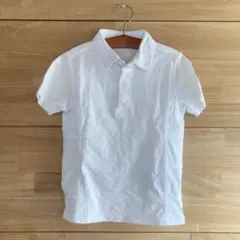 レア　ポロバイラルフローレン　シャツ