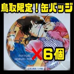 コナン百貨店 コナン展 毛利蘭　観光協会　五　コナン探偵社 観光案内所　缶バッジ