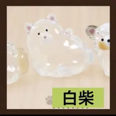 うちの子のけだまだま　犬のけだまだま第二弾　白柴　単品