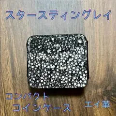 【新品・未使用】スタースティングレイ　BOX型コンパクトコインケース　海の宝石