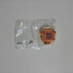 s*6様 清水エスパルスユニカラビナ アクリルキーホルダー 背番号33乾