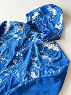 Item thumbnail for item b919da06-2305-4972-92e7-e9443be91239