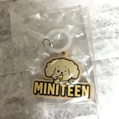 ドギョム めじるしアクセサリー ガチャガチャ