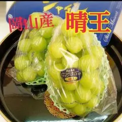 訳あり シャインマスカット 岡山県産 3パック 即購入可能箱抜き1.2キロ