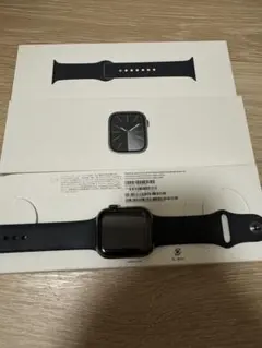 極美品 Apple Watch series9 45mm ステンレスモデル