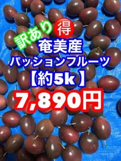 奄美産パッションフルーツ【訳あり5Kg】のサムネイル