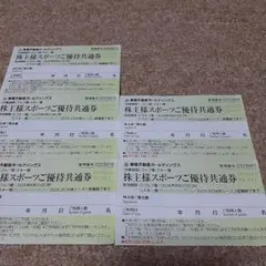 【最新】ニセコリフト割引券　匿名配送　東急不動産　5枚　　株主優待券