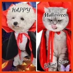 Item thumbnail for item accfcdf9-c9ad-485d-a75f-ac02061da17e