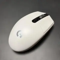 g304