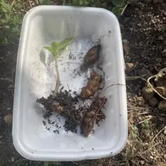 りょう様 リクエスト 2点 まとめ商品