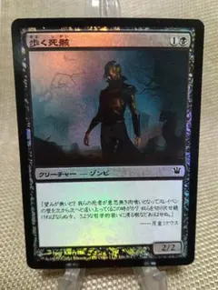 イニストラード foil 歩く死骸 日本語 1枚 MTG