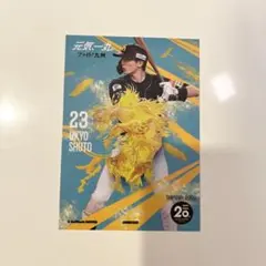 周東佑京