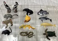 2026年最新】チョコエッグ+日本の動物の人気アイテム - メルカリ