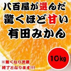 ●【特別価格】減農薬 有田みかん 10kg 箱込み 完熟0101