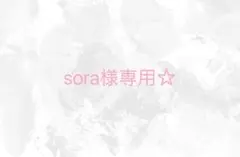 sora様専用ページ