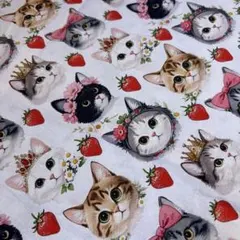 りんごねこ★3枚購入ごとに1枚進呈★様 リクエスト 2点 まとめ商品