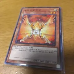 遊戯王９枚　朱光の宣告者