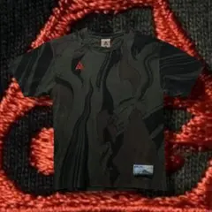 【希少】NIKE ACG 半袖Tシャツ Mt.FUJI 富士山 カモ柄