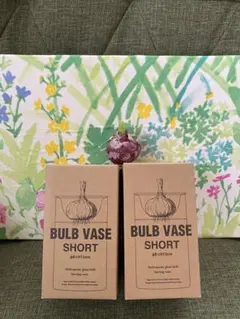 【新品未使用】インテリア雑貨 花瓶 水耕栽培 球根 リボーンベジタブル　大中各1