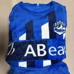 Item thumbnail for item 5b628c6e-e78c-4e68-9d37-51ccd93022d6