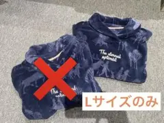 Item thumbnail for item a2742289-9bbb-4bbb-aa1e-39d72a9bb2b2