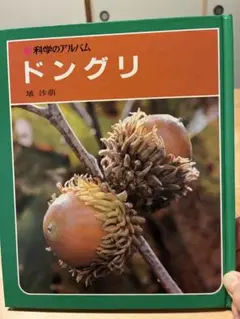 ドングリ 科学のアルバム　あかね書房