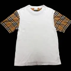 Item thumbnail for item a44acee2-34e1-4450-b254-27ec673821f3