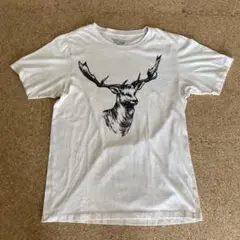アニマルドローイングTシャツ 鹿　SHIPS Sサイズ