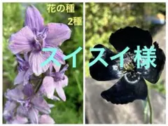 スイスイ様　おまとめ3点のサムネイル