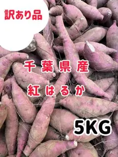 5KG 紅はるか 小さめ・細い