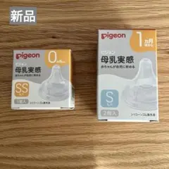 Item thumbnail for item 2e8f5d70-c967-4496-972a-e44e5c5e0788