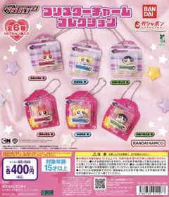 パワーパフガールズ*ブリスターチャームコレクション*ブロッサムB