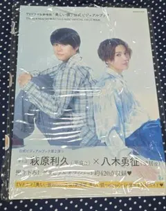 TVドラマ＆劇場版 美しい彼 公式ビジュアルブック