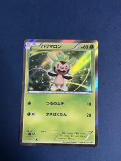 ポケモンカード ハリマロン プロモ 034 XY-P 2枚セット - メルカリ