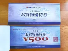 ヤマダ電機　株主優待券