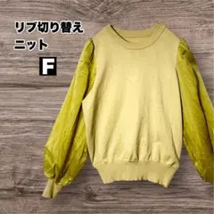 「着るだけで映えます！」 バルーンスリーブ ライトグリーン ニット