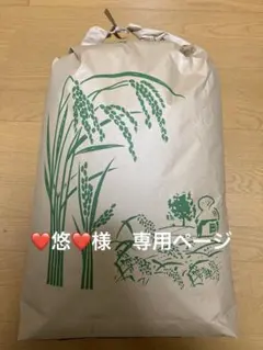 茨城県産　令和7年コシヒカリ 玄米　30kg 専用ページ