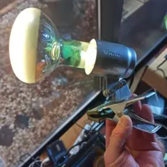 Item thumbnail for item 701d091f-ac63-4f4f-81f4-306ef5285b57