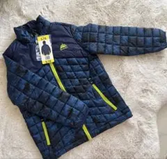 Item thumbnail for item 63251ff9-718e-4320-9203-b3ba14b9eb73